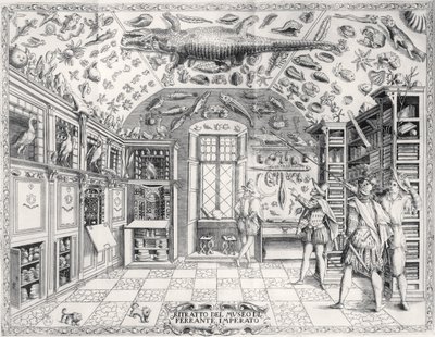 O Museu de História Natural do Imperador Ferdinando III da Historia Naturale pelo bar Ferrante Imperato (1550-1631). em 1672 de Italian School