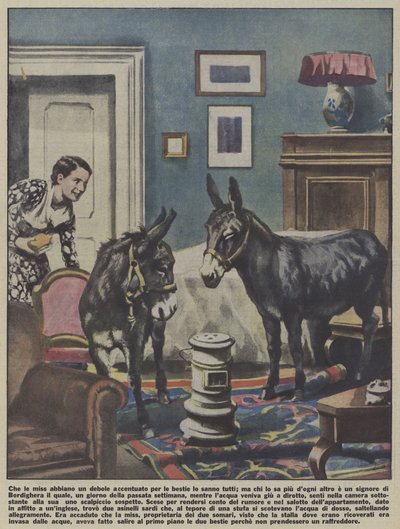 Dois burros num apartamento em Bordighera, Itália (litografia a cores) de Italian School