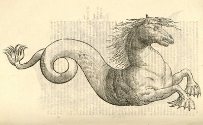 ilustração de Equus marinus monstrosus de Aldrovandis História dos monstros, 1642 de Italian School
