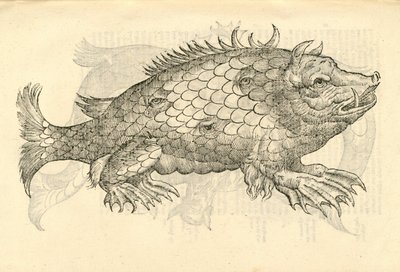ilustração de Monstrosus Sur marinus de Aldrovandis History of Monsters, 1642 de Italian School