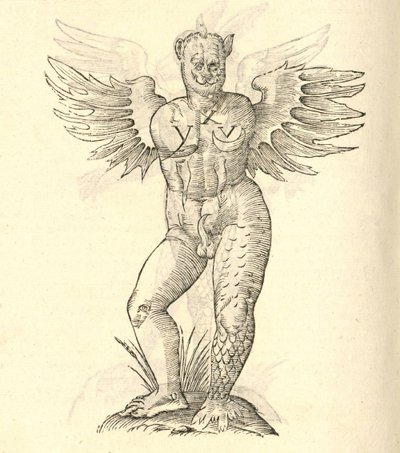 ilustração de um chifres monstro e asas de outro kazakovae History of Monsters, 1642 de Italian School