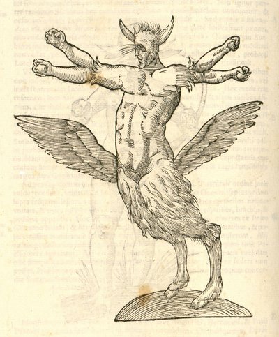 tetrachiron ilustração monstro alado do humano orelhudo de kazakovae History of Monsters, 1642 de Italian School