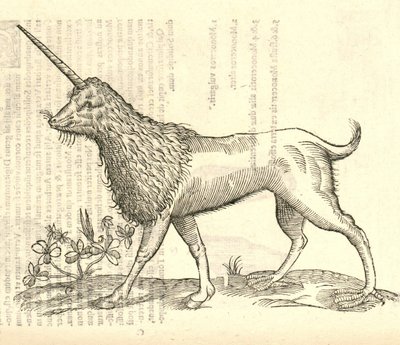 ilustração de uma Camphurch de Aldrovandis História dos monstros, 1642 de Italian School