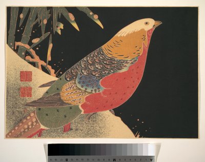 Faisão dourado na neve, c.1900 (xilogravura, tinta e cor sobre papel) de Ito Jakuchu