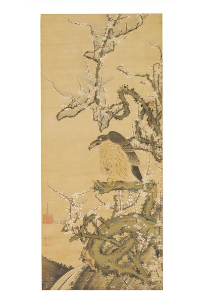 Umetaka-zu (Falcão num ramo de ameixa em flor) de Ito Jakuchu