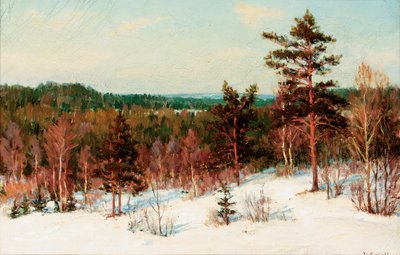Inverno - vista sobre a floresta de Ivan Fedorovich Choultse