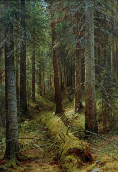 Na floresta russa de Ivan Ivanovich Shishkin