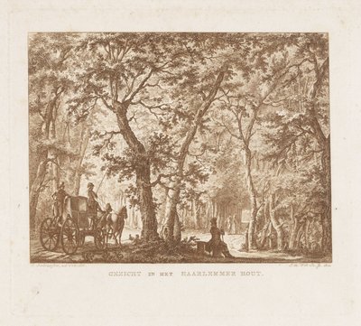 Carruagem e caminhantes no Haarlemmerhout Vista no Haarlemmer Hout (título no objeto) de Izaak Jansz. de Wit