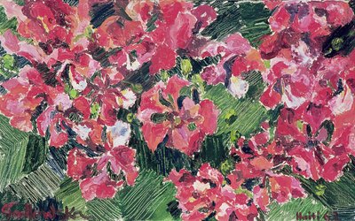 Rododendro, 1962 de Izabella Godlewska de Aranda