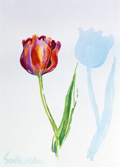 Tulip, 1998 (wc on paper) (ver também 124446 e 124447) de Izabella Godlewska de Aranda