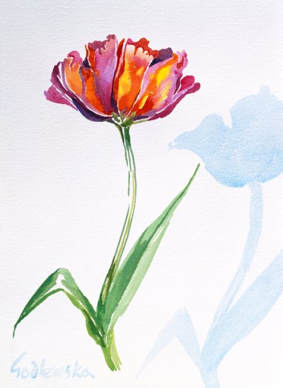 Tulip, 1998 (wc no papel) (ver também 124446 e 124448) de Izabella Godlewska de Aranda