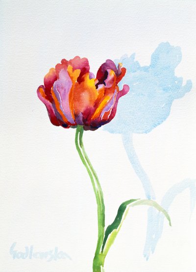 Tulip, 1998 (wc no papel) (ver também 124446 e 124448) de Izabella Godlewska de Aranda