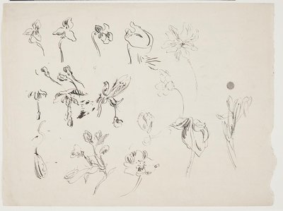 Esboços de flores de J.A. Jerichau