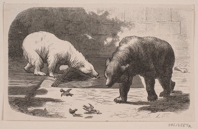 Ursos no Jardin des Plantes de J.C. Nielsen