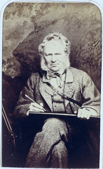 Retrato de Sir Edwin Landseer (1802-1873) (impressão de albume) de J.C. Watkins