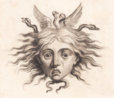 Medusahoved de J.F. Clemens