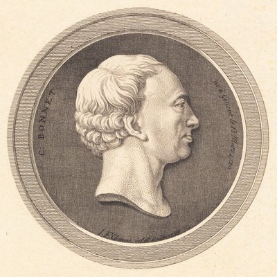 Medalhão de Relevo com retrato de Bonnet de J.F. Clemens
