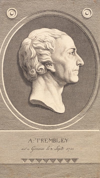 Medalhão de Alívio com retrato do zoólogo Abraham Trembley de J.F. Clemens