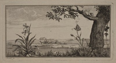 Vista de uma paisagem plana, na planta de primeiro plano com insetos e árvore com caracóis de J.F. Clemens