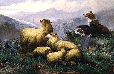 Cães de Ovelha e Ovelhas nas Terras Altas da Escócia de J.W. Morris