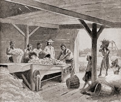Escravos trabalhando com um descaroçador de algodão do século XIX em uma plantação em um estado do sul dos Estados Unidos da América, de "The History of Our Country", publicado em 1905 (litho) de J. (after) Steeple Davis