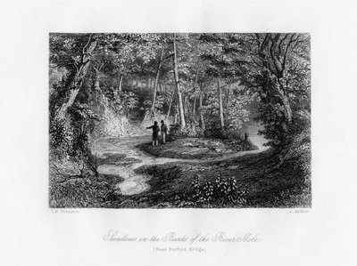 Andorinhas nas margens do rio Mole, Surrey, século XIX de J. Archer