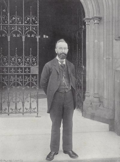 Mr. TM Healy de J. Benjamin Stone