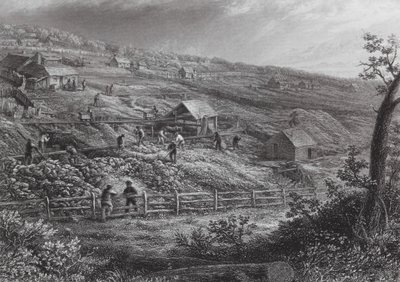 Austrália: Concordia Gold Mines (gravura) de J. C. Armytage