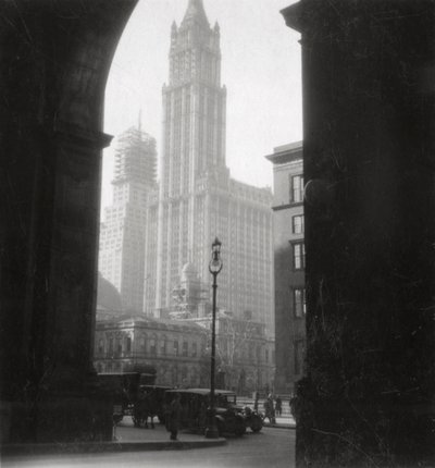 Edifício Woolworth, Nova Iorque, EUA, século XX de J. Dearden Holmes