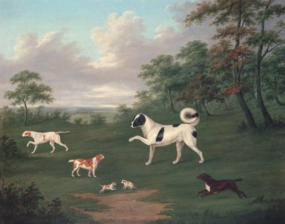 Cães esportivos em uma paisagem de J. Francis Sartorius