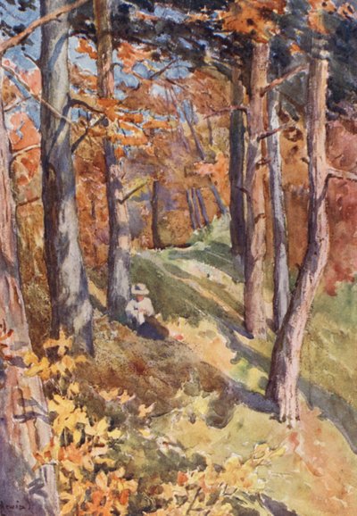 Na floresta de Sauvabelin, acima de Lausanne (litografia a cores) de J. Hardwicke Lewis