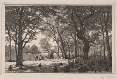 festa na floresta da Jutlândia de J. Hildebrand