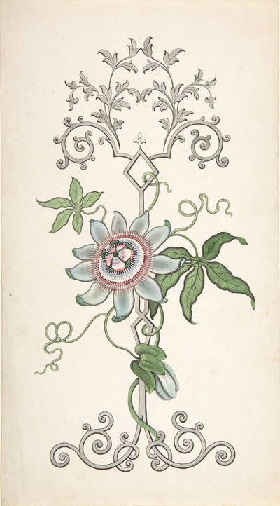 Projeto para Decoração de Painel Centrado em uma Flor de Paixão, 1828-40. de J Hulme