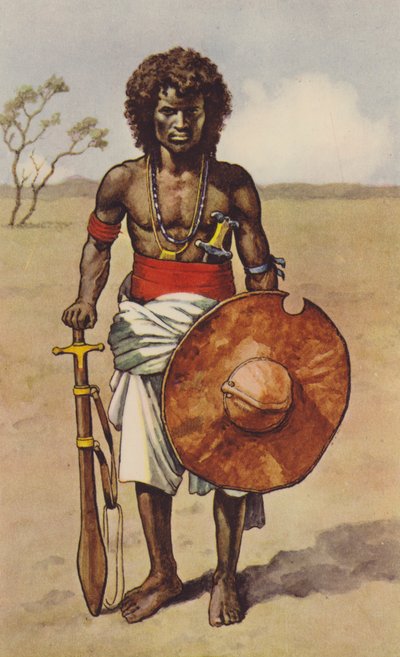 Fuzzy Wuzzy (cor litho) de J. Macfarlane