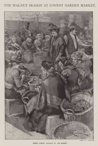 A época das nozes em Covent Garden Market, Londres (litho) de J. Macfarlane