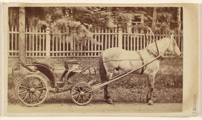 [Carruagem pequena com cavalo]. de J. Monstein