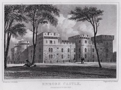 Castelo de Enmore, Somersetshire (gravura) de John Preston Neale