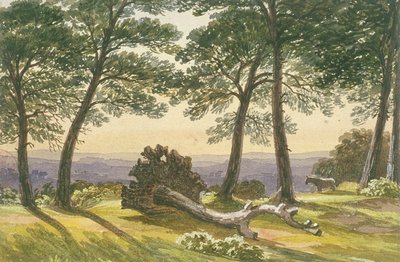 Hampstead Heath, Londres, c1830 de J Powell