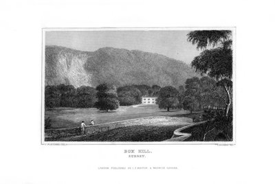 Box Hill, Surrey, 1829. de J. Rogers