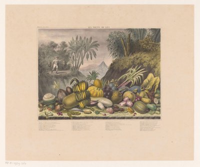 frutas javanesas Les frutas de Java (título no objeto) de J. Schnell