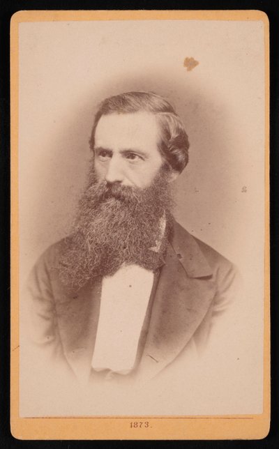 Retrato de Mordecai Cubitt Cooke 1825-1914, 1873. de J Stegmann