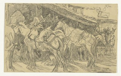 Mulas e burros na Grand Place em Tânger de Jac van Looij