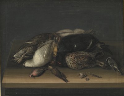 Aves selvagens em uma mesa de madeira de Jacob Biltius