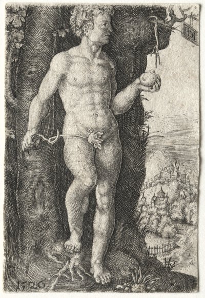 Adão de Jacob Binck