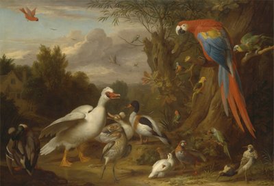 Uma Arara, Patos, Papagaios e Outras Aves numa Paisagem de Jacob Bogdani