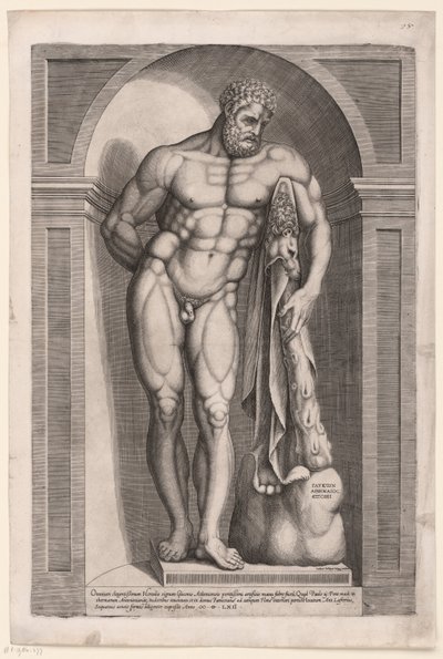 Hercules Farnese de Jacob Bos