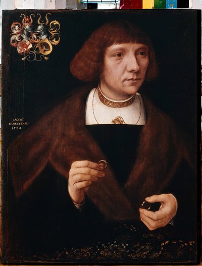 Retrato masculino com anéis. Retrato masculino com Anéis. Pintura de Jacob van Utrecht (ca. 1479-após 1525) de Jacob Claesz. von Utrecht