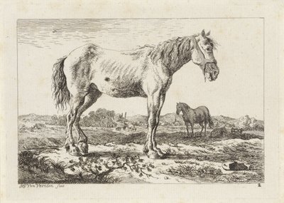 Cavalo em pé em uma paisagem Seis gravuras após desenhos de vários mestres (título da série) de Jacob Elias van Varelen