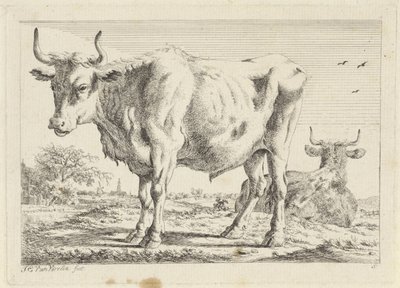Boi em pé e deitado Seis gravuras após desenhos de vários mestres (título da série) de Jacob Elias van Varelen
