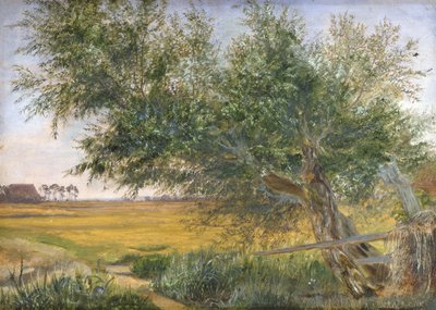 The Old Tree, 1842 (óleo sobre papel montado no cartão) de Jacob Gensler